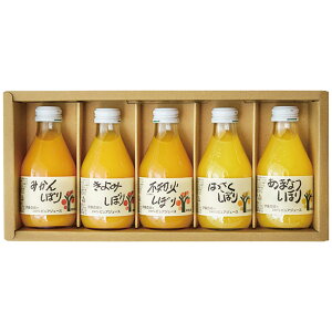 Ε 2025 Ε  P5{ ɓ_ 100sAW[Xl 50705g 9879-127 t[cyz /  ʔ v[g Mtg  /