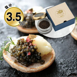 Ε 2025 Ε  P5{ L VtbVLrA1r 3.5 9906-025 yz /  ʔ v[g Mtg  /