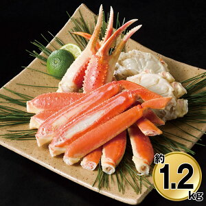 Ε 2025 Ε  P5{ {C킢ɋr 1.2kg 9909-033 I Jjyz /  ʔ v[g Mtg  /