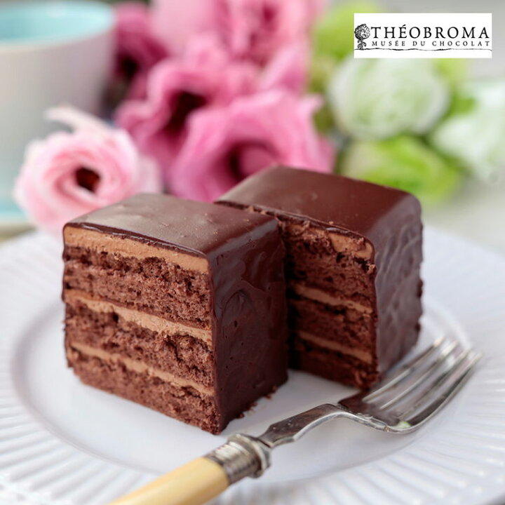 楽天市場 テオブロマ ケークショコラ 2個セット 送料無料 スイーツ 洋菓子 お取り寄せ 通販 プレゼント ギフト お歳暮 おすすめ わが街とくさん店 楽天市場 テオブロマ ケークショコラ 2個セット 送料無料 スイーツ 洋菓子 お取り寄せ 通販 プレゼント ギフト お歳暮 おすすめ わが街とくさん店