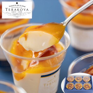   TERAKOYAďC Z}S[vyz / mَq XC[c }S[v َq  ʔ v[g Mtg Ε  /