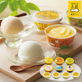 アイスクリーム アイス 高知アイス 南の国の高知アイス 10個 セット アイスクリン 詰め合わせ【送料無料】 / 土佐 大満足 詰め合わせ あいす スイーツ 洋菓子 お菓子 お取り寄せ 通販 プレゼント ギフト おすすめ /