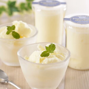 ACX V[xbg kC \{q v~AV[xbg 8Zbg lߍ킹 yz / XC[c mَq ACXN[ َq  ʔ v[g Mtg Ε