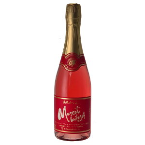 yzTVŏЉICi[ }XJbgEx[[AXp[NOC 750ml J[gt 퉷 /  ʔ yY j v[g Mtg Ε  /