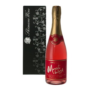 Ci[ }XJbgEx[[AXp[NOC SW-SPA 750ml yMtgpzyz 퉷 / C Xp[NOC  ʔ yY j v[g Mtg 