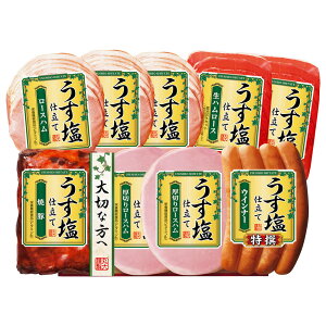 yΕ2025zd TS-509 n Ă ECi[ lߍ킹 ۑHi yz /  ʔ v[g Mtg Ε  /