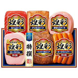 Ε 2025 Ε  P2{ ʃMtg MV-466T n ECi[ lߍ킹 ۑHi yz /  ʔ v[g Mtg Ε  /