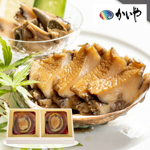 yGg[P5{z юp 2 GE-50 4821-018 Aryz /  ʔ v[g Mtg  /