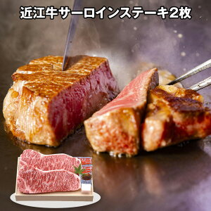 yGg[P5{z琬 ߍ] T[CXe[L2 4821-070  ayz /  ʔ v[g Mtg  /