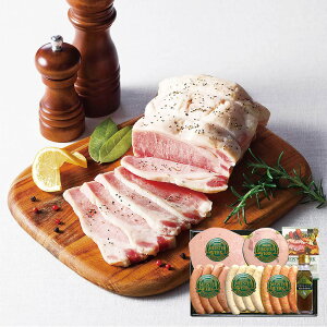 �琬�� �}�C�X�^�[��c�\�[�Z�[�W�Z�b�g SEN-ES01 4821-094 �n���M�t�g�y���������z / ������ �ʔ� �v���[���g �M�t�g �������� /