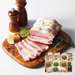 �琬�� �}�C�X�^�[��c���I�Z�b�g SEN-ASS01 4821-107 �n���M�t�g�y���������z / ������ �ʔ� �v���[���g �M�t�g �������� /