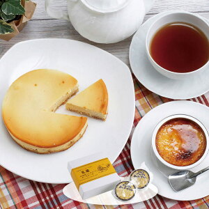  kCxCNh`[YP[LEv 440192 4821-284 XC[c mَqyz /  ʔ v[g Mtg  /