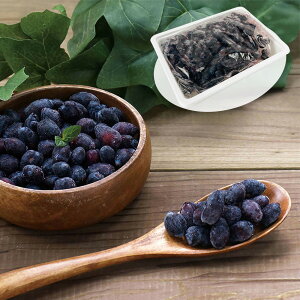 kCYⓀnXJbv 500g 420004 4821-537 t[c ʕyz /  ʔ v[g Mtg  /