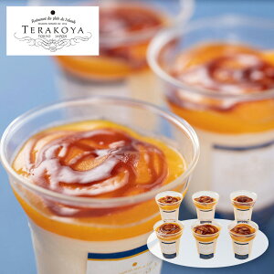 E TERAKOYAďC Z}S[v 6 TE-M6 4821-640 XC[c mَqyz /  ʔ v[g Mtg  /