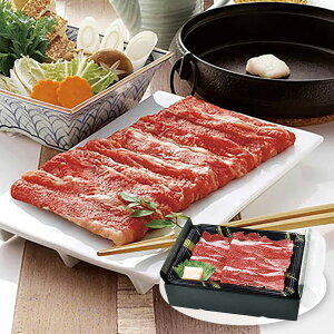 �đ� �����₫ �v300g ARC-006 4821-703 �����y���������z / ������ �ʔ� �v���[���g �M�t�g �������� /