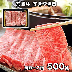 {苍 ₫ 500g ARE-045 4821-943 yz /  ʔ v[g Mtg  /