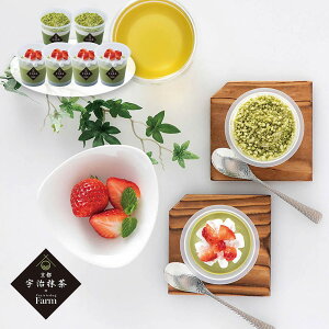 yGg[P5{zv[[hbO t@[ sEFptFeB~X̃ACXZbg PFMI-006 4822-224 XC[cyz /  ʔ v[g Mtg  /