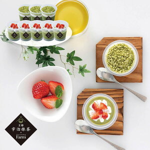 v[[hbO t@[ sEFptFeB~X̃ACXZbg PFMI-007 4822-236 XC[cyz /  ʔ v[g Mtg  /