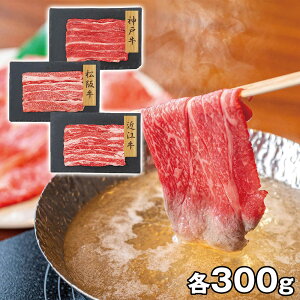 v[[hbO t@[ ya3uhz _ˋE㋍Eߍ]oXCX PFN-012 4822-298  ayz /  ʔ v[g Mtg  /