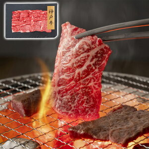 v[[hbO t@[ _ˋ ē o PFN-026 4822-387  ayz /  ʔ v[g Mtg  /