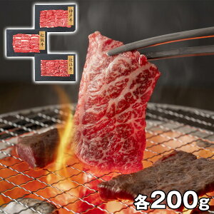 v[[hbO t@[ ya3uhz _ˋE㋍Eߍ]ēo PFN-037 4822-414  ayz /  ʔ v[g Mtg  /