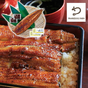 yGg[P5{zv[[hbO t@[  YȂăZbg iJzt PFU-017A 4822-591 Vyz /  ʔ v[g Mtg  /