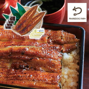 yGg[P5{zv[[hbO t@[  YȂăZbg iJzt PFU-019A 4822-616 Vyz /  ʔ v[g Mtg  /