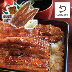 �v���[���[�h�b�O �t�@�[�� ���� ���������Y���Ȃ����ăZ�b�g �i�J�����z�����t PFU-021A 4822-630 �V�y���������z / ������ �ʔ� �v���[���g �M�t�g �������� /