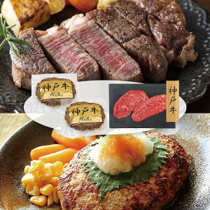 v[[hbO t@[ _ˋno[OE_ˋXe[L PFNH-104 4822-678 my؁yz /  ʔ v[g Mtg  /