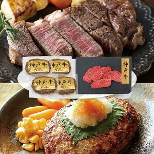 v[[hbO t@[ _ˋno[OE_ˋXe[L PFNH-108 4822-692 my؁yz /  ʔ v[g Mtg  /