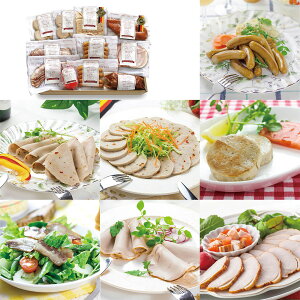 yGg[P5{z2017NhCcDLGۃReXg܎ܓX TCgEn I nl SSR-100C 4823-303 nMtgyz /  ʔ v[g Mtg  /