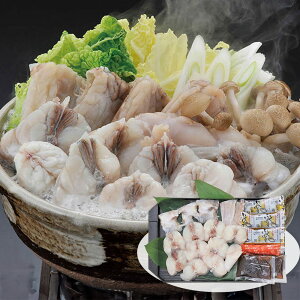 yGg[P5{zӂZbg 3lO 4824-646 痿yz /  ʔ v[g Mtg  /