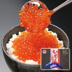 ԑY kCY ݖ 500g APID-186 4826-412 yz /  ʔ v[g Mtg  /