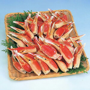 ԑY {C킢ɒ 1kg APID-437 4826-424 I Jjyz /  ʔ v[g Mtg  /