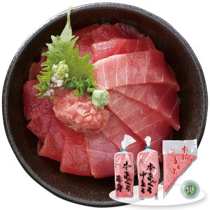 Jlg VR{Zbg HT100 4826-575  }Oyz /  ʔ v[g Mtg  /