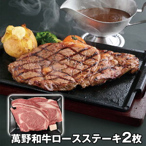 yGg[P5{zݖa[XXe[L2 v500g RST50-MAN 4826-690 yz /  ʔ v[g Mtg  /