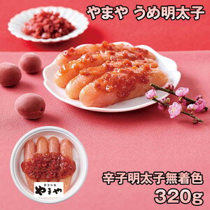 ܂ ߖq320g 32704 4828-202 ߂񂽂yz /  ʔ v[g Mtg  /