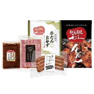 yGg[P5{zv ƃ\[Z[Wl E500AP 4828-909 ^ y؁yz /  ʔ v[g Mtg  /