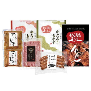 yGg[P5{zv 񂨊y݃Zbg E600AP 4828-935 ^ y؁yz /  ʔ v[g Mtg  /