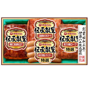 Ε 2025 Ε  P2{ ɓn ` GM-300 nMtgyz /  ʔ v[g Mtg  /