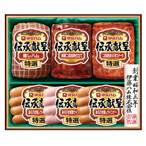 Ε 2025 Ε  P2{ ɓn ` GM-40 nMtgyz /  ʔ v[g Mtg  /