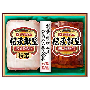 Ε 2025 Ε  P2{ ɓn ` IGM-300 nMtgyz /  ʔ v[g Mtg  /