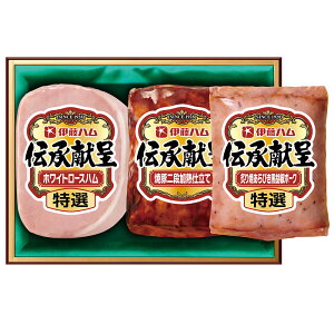 Ε 2025 Ε  P2{ ɓn ` IGM-30 nMtgyz /  ʔ v[g Mtg  /