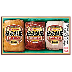 Ε 2025 Ε  P2{ ɓn ` IGM-508 nMtgyz /  ʔ v[g Mtg  /