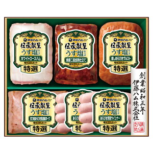 Ε 2025 Ε  P2{ ɓn `悤dグ GMU-4V nMtgyz /  ʔ v[g Mtg  /