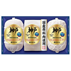 Ε 2025 Ε  P2{ ɓn Yؓgp _ IKC-100 nMtgyz /  ʔ v[g Mtg  /