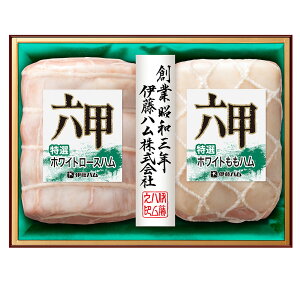 Ε 2025 Ε ɓn Zb RMB-501 nMtgyz /  ʔ v[g Mtg  /