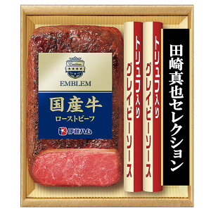 Ε 2025 Ε  P2{ ɓn c ^ZNV EM-500 my lyz /  ʔ v[g Mtg  /