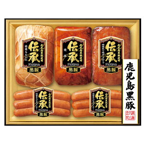 Ε 2025 Ε ɓn I DB-55 nMtgyz /  ʔ v[g Mtg  /