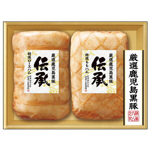 Ε 2025 Ε ɓn I DB-120 nMtgyz /  ʔ v[g Mtg  /